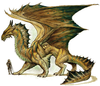 Bronze Dragon Image